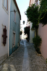 DSCF5216.JPG