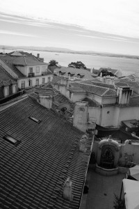 DSCF5250.JPG