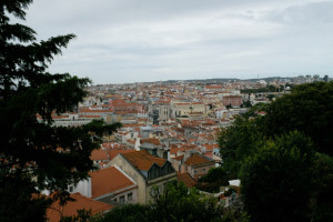 DSCF5253.JPG
