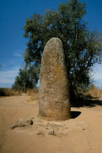 DSCF5310.JPG
