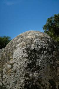 DSCF5313.JPG