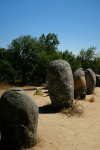 DSCF5315.JPG