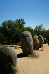 DSCF5316.JPG