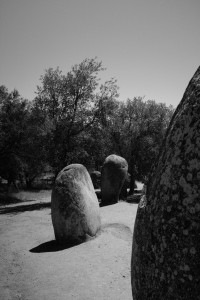 DSCF5320.JPG