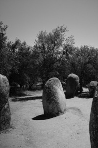 DSCF5321.JPG