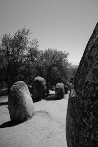 DSCF5322.JPG