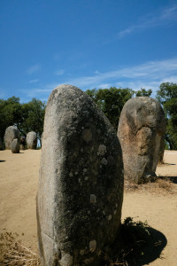 DSCF5329.JPG