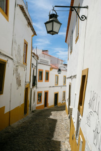 DSCF5340.JPG
