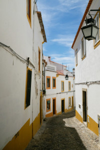 DSCF5341.JPG