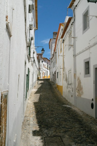 DSCF5342.JPG