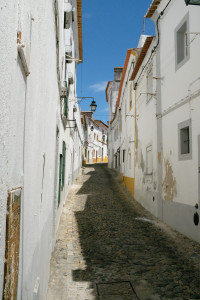 DSCF5343.JPG
