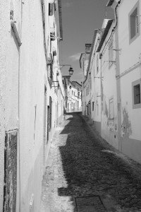 DSCF5344.JPG