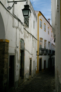 DSCF5350.JPG