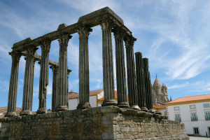 DSCF5360.JPG