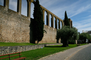 DSCF5370.JPG