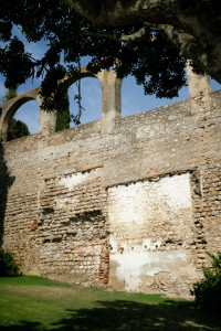 DSCF5372.JPG
