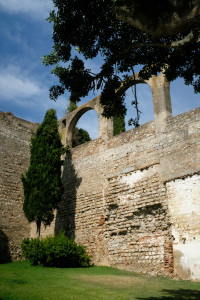 DSCF5373.JPG