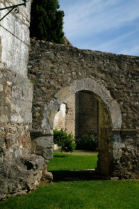DSCF5374.JPG