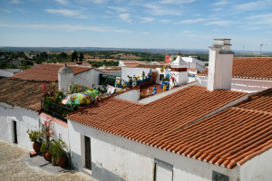 DSCF5375.JPG