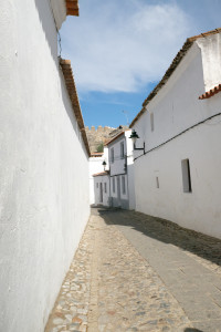 DSCF5377.JPG