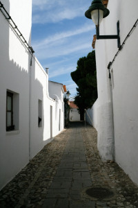 DSCF5378.JPG
