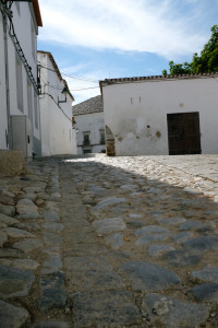 DSCF5379.JPG