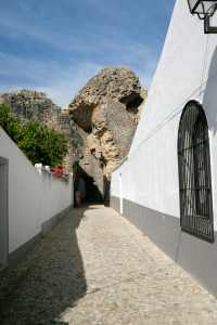 DSCF5380.JPG