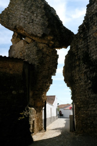 DSCF5383.JPG