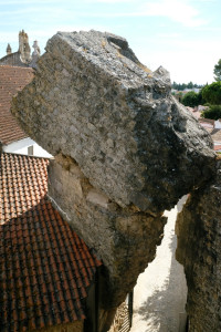 DSCF5389.JPG