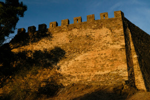 DSCF5403.JPG