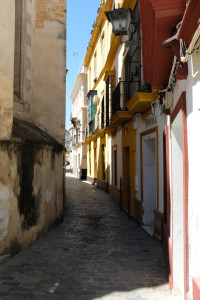 DSCF5410.JPG