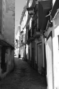 DSCF5411.JPG