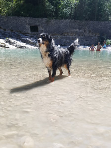 20170822_145914.jpg