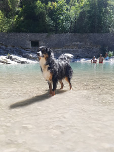 20170822_145915.jpg