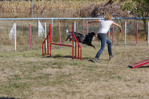 IMGP2368.JPG