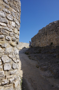 IMGP2375.JPG