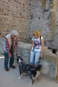 IMGP2384.JPG