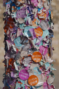 IMGP2641.JPG