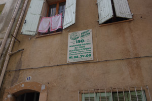 IMGP2649.JPG