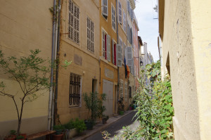 IMGP2652.JPG