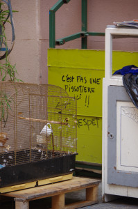 IMGP2659.JPG