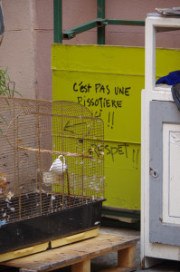 IMGP2660.JPG