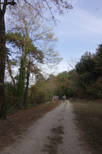 IMGP2767.JPG