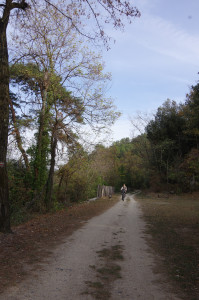 IMGP2768.JPG