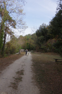 IMGP2769.JPG