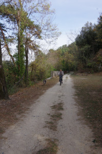 IMGP2771.JPG