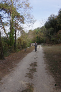 IMGP2772.JPG