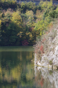 IMGP2490.JPG