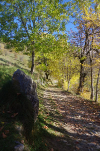 IMGP2502.JPG