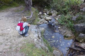 IMGP2506.JPG